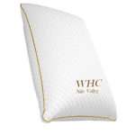 5 Star Hotel Pillow 1700g. Super Fluffy, Egyptian Cotton with Down Alt fill